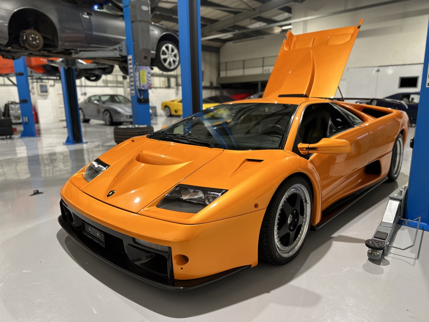 Lambo Commom Lamborghini Specialists | Lamborghini Servicing Specialists ...