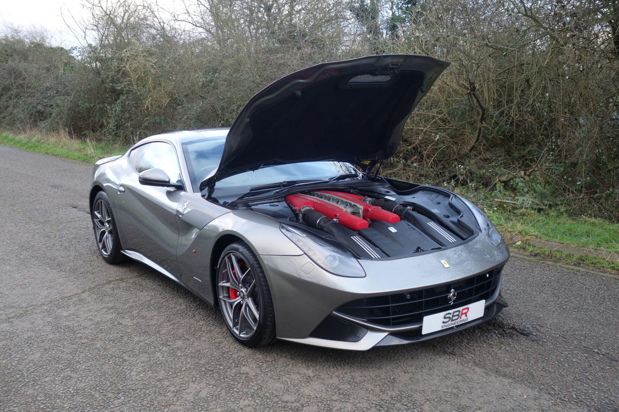 Sb Race Engineering 2013 Ferrari F12 For Sale 47