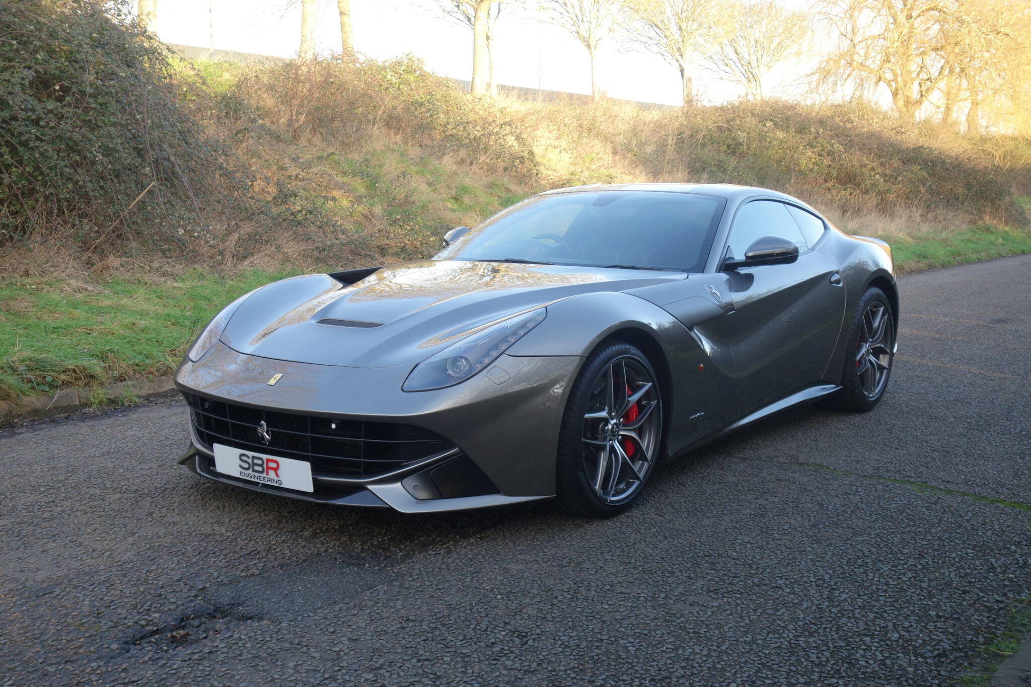 Sb Race Engineering 2013 Ferrari F12 For Sale 7