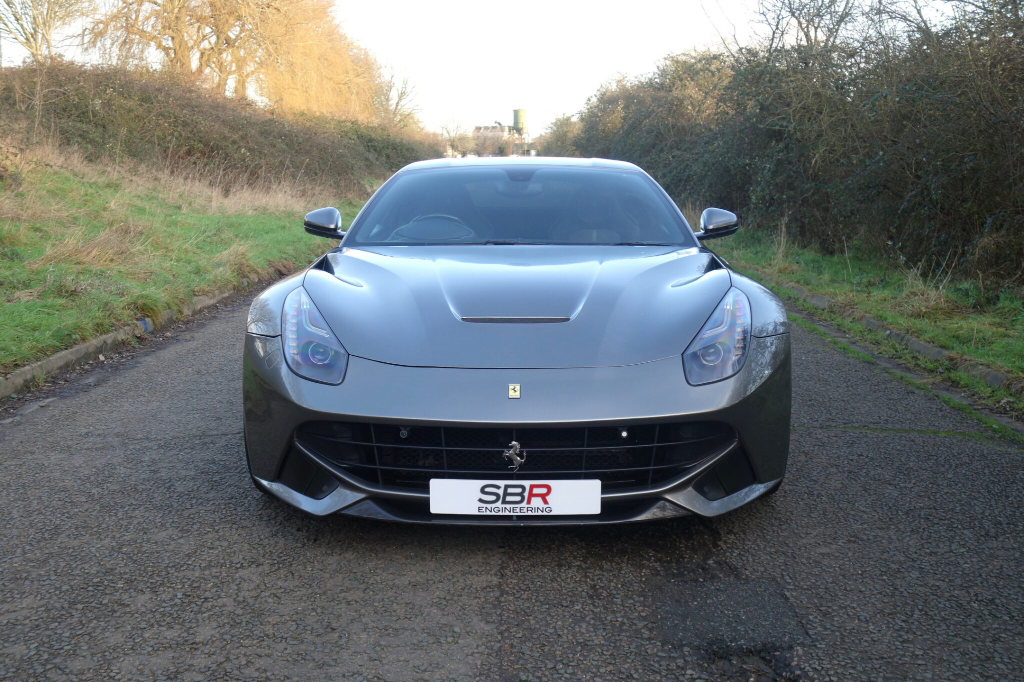 Sb Race Engineering 2013 Ferrari F12 For Sale 8