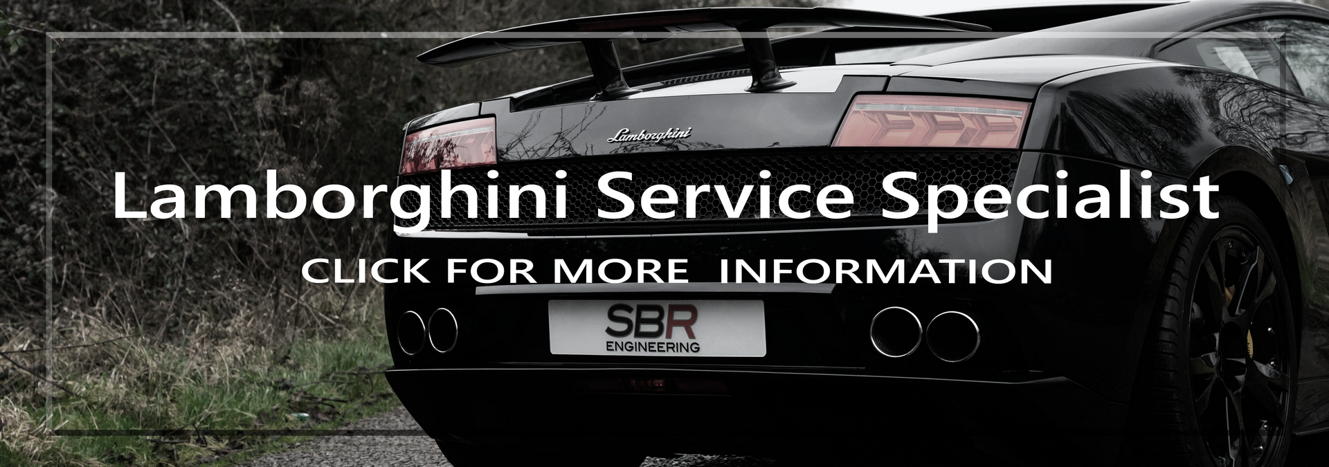 Lamborghini service specialist